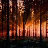 Lesen LED Bilder Bewertungen
